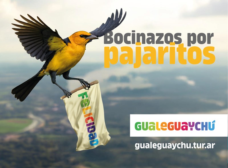 Gualeguaychú, la felicidad está cerca · Bocinazos por pajaritos